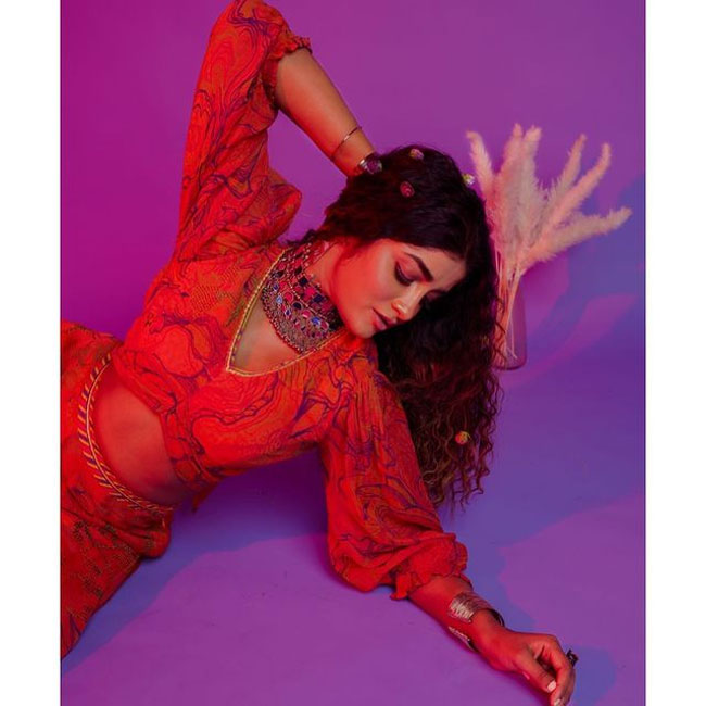 Staggering Poses Of Dimple Hayathi